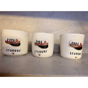 Studenter kop i porcel�nsler (R�D HUE)