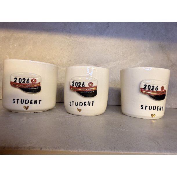 Studenter kop i porcel�nsler (R�D HUE)