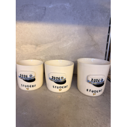 Studenter kop i porcel�nsler (BL� HUE)