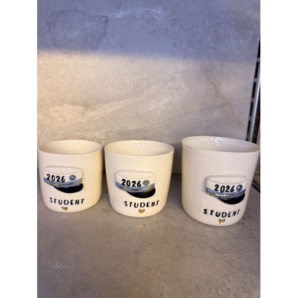 Studenter kop i porcel�nsler (BL� HUE)